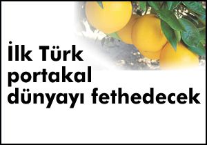 ‘Batem Fatihi’ portakal dünyayı fethedecek
